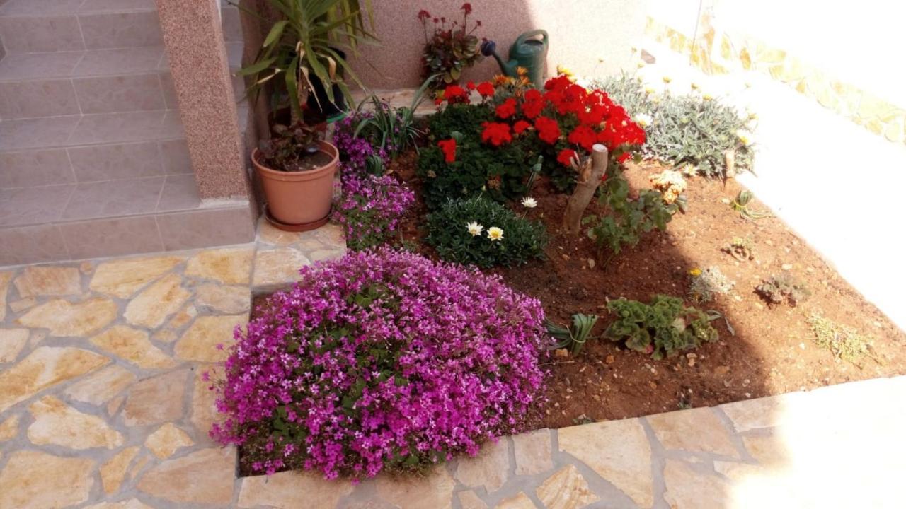 Apartmani Matovina Vir Esterno foto